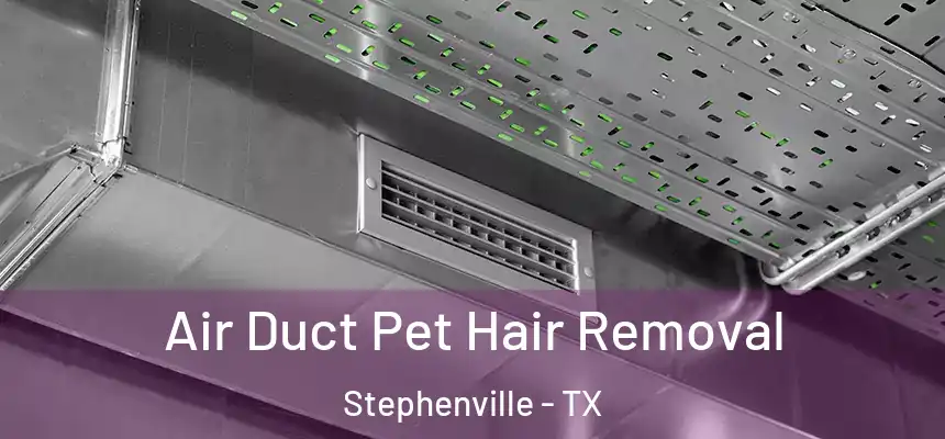  Air Duct Pet Hair Removal Stephenville - TX