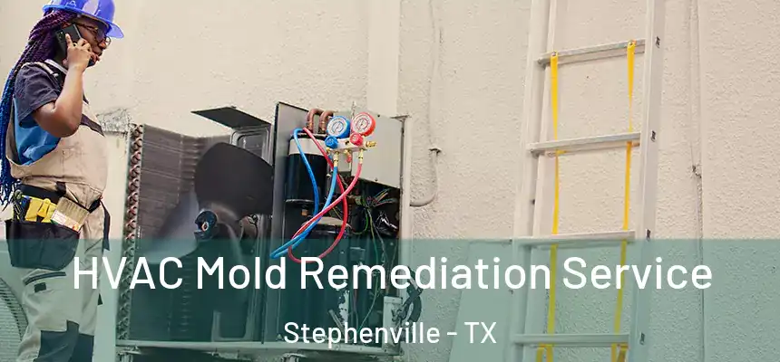  HVAC Mold Remediation Service Stephenville - TX
