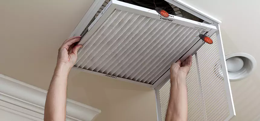 Preventive Cockroach-Proofing for Ducts in Stephenville