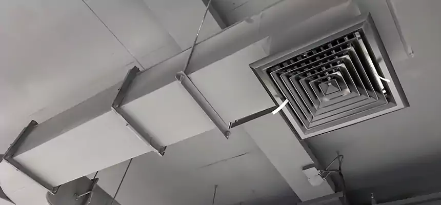 Restorative Allergy Relief Vent Cleaning – Coil, Blower & Housing Detail in Stephenville