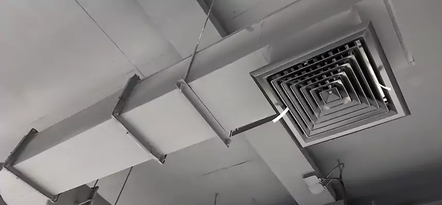 Our Pest Removal From Ducts Services in Stephenville, TX