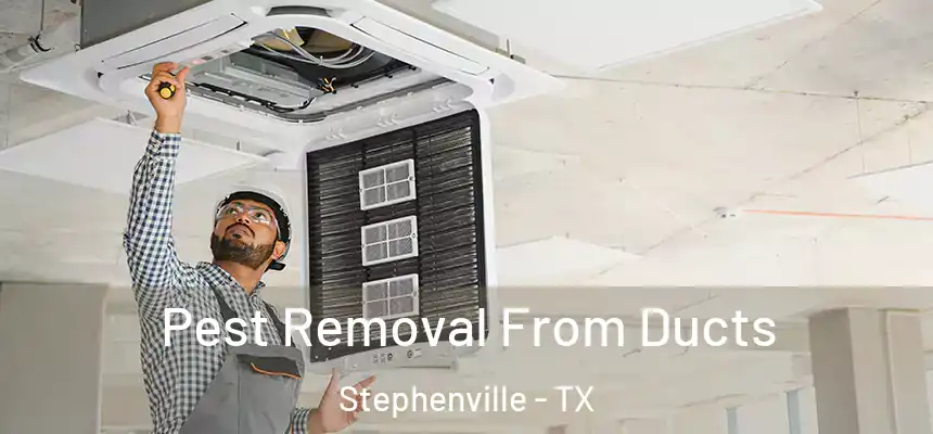  Pest Removal From Ducts Stephenville - TX