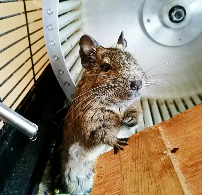 Why Homeowners & Businesses Trust Us Stephenville, TX?